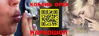 шишки Моздок