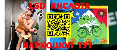 шишки Моздок