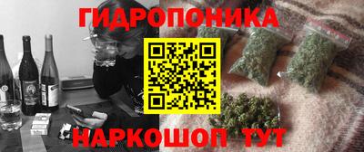 амф Можга