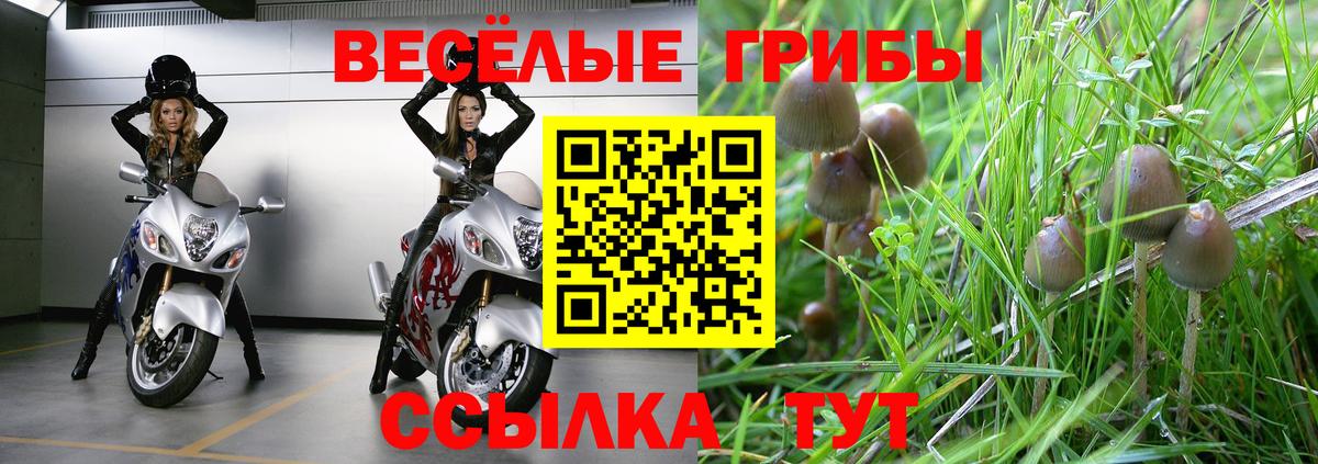 закладки  Галлюциногенные грибы MAGIC MUSHROOMS  Ульяновск  Вход с VPN  Галлюциногенные грибы ЛСД 