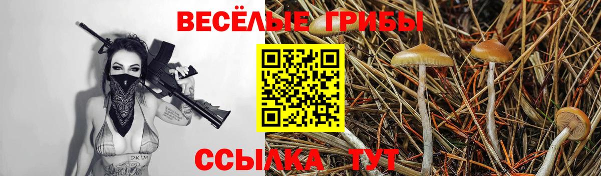 Псилоцибиновые грибы Magic Shrooms Ульяновск